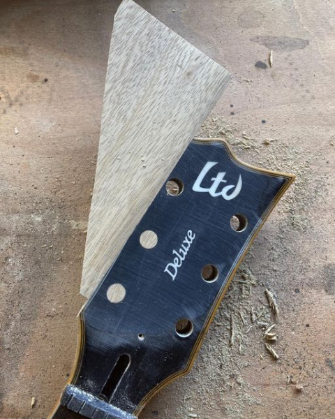 Pala de la Hutchinson Guitar Concepts Torture Ecli